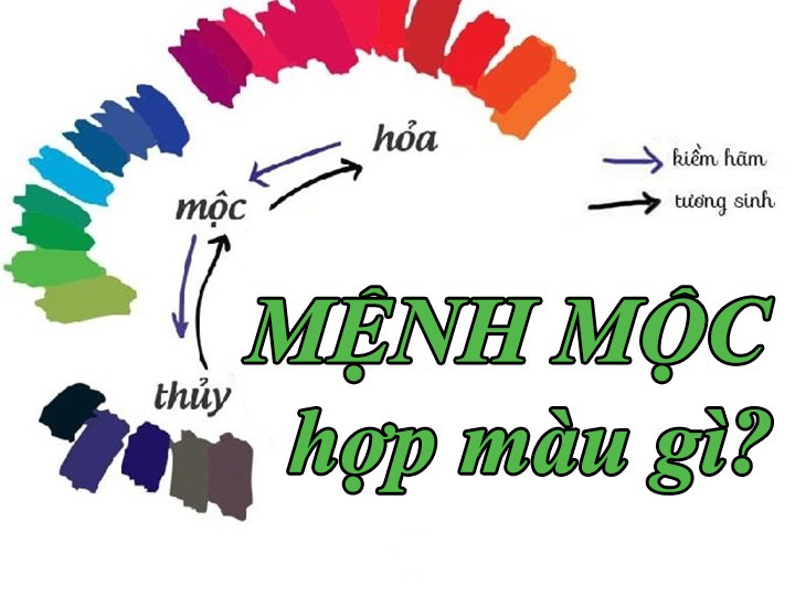 Mệnh mộc hợp màu gì